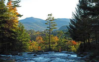 Tips for the Best Leaf Peeping Near Jackson NH
