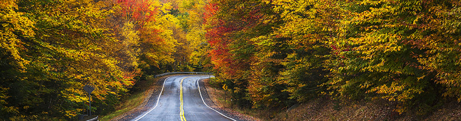 Ideal Fall Foliage Viewing in Jackson, New Hampshire