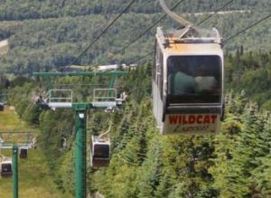 Wildcat Mountain Gondola Ride