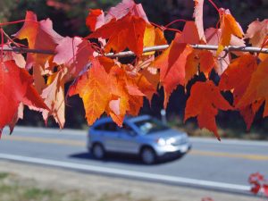 Fall Fun in the White Mountains