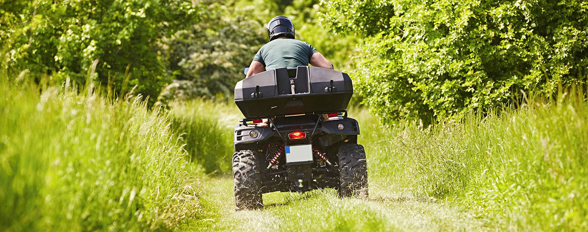 White Mountains Off Road Adventure