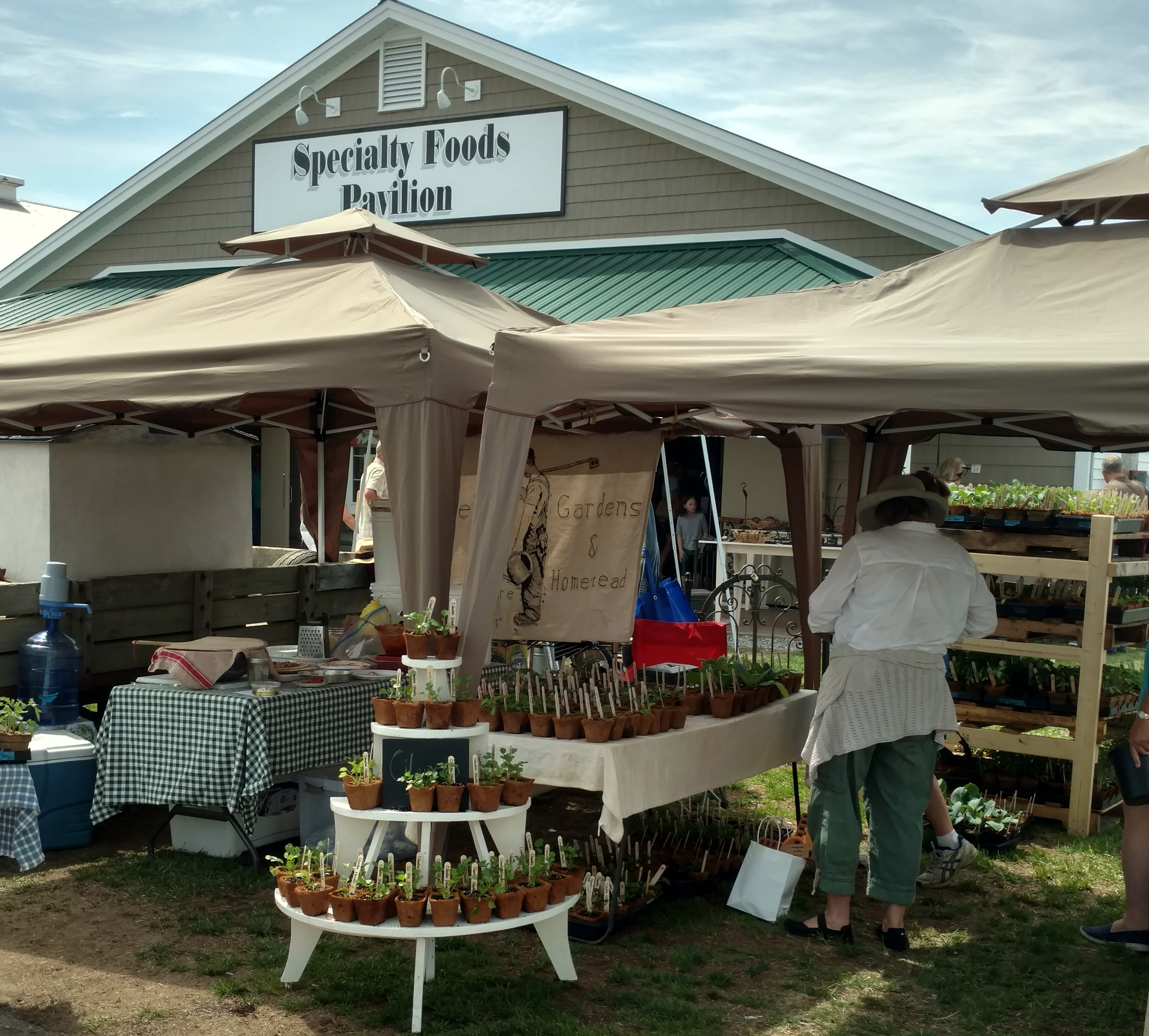 Fryeburg Home Garden Flower Show Scene