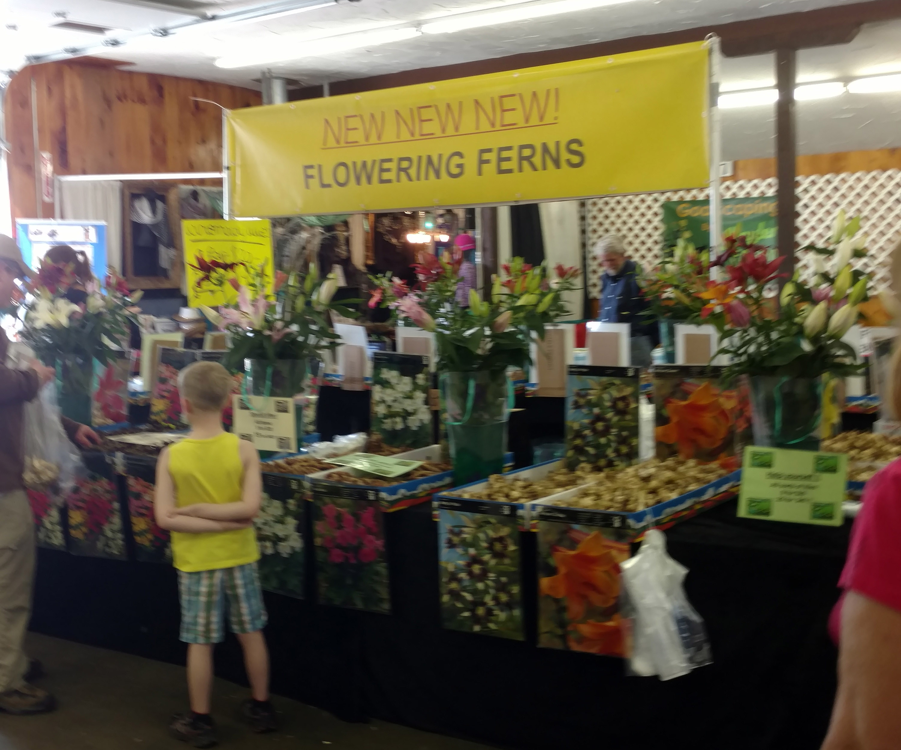 Fryeburg Home Garden Flower Show ferns