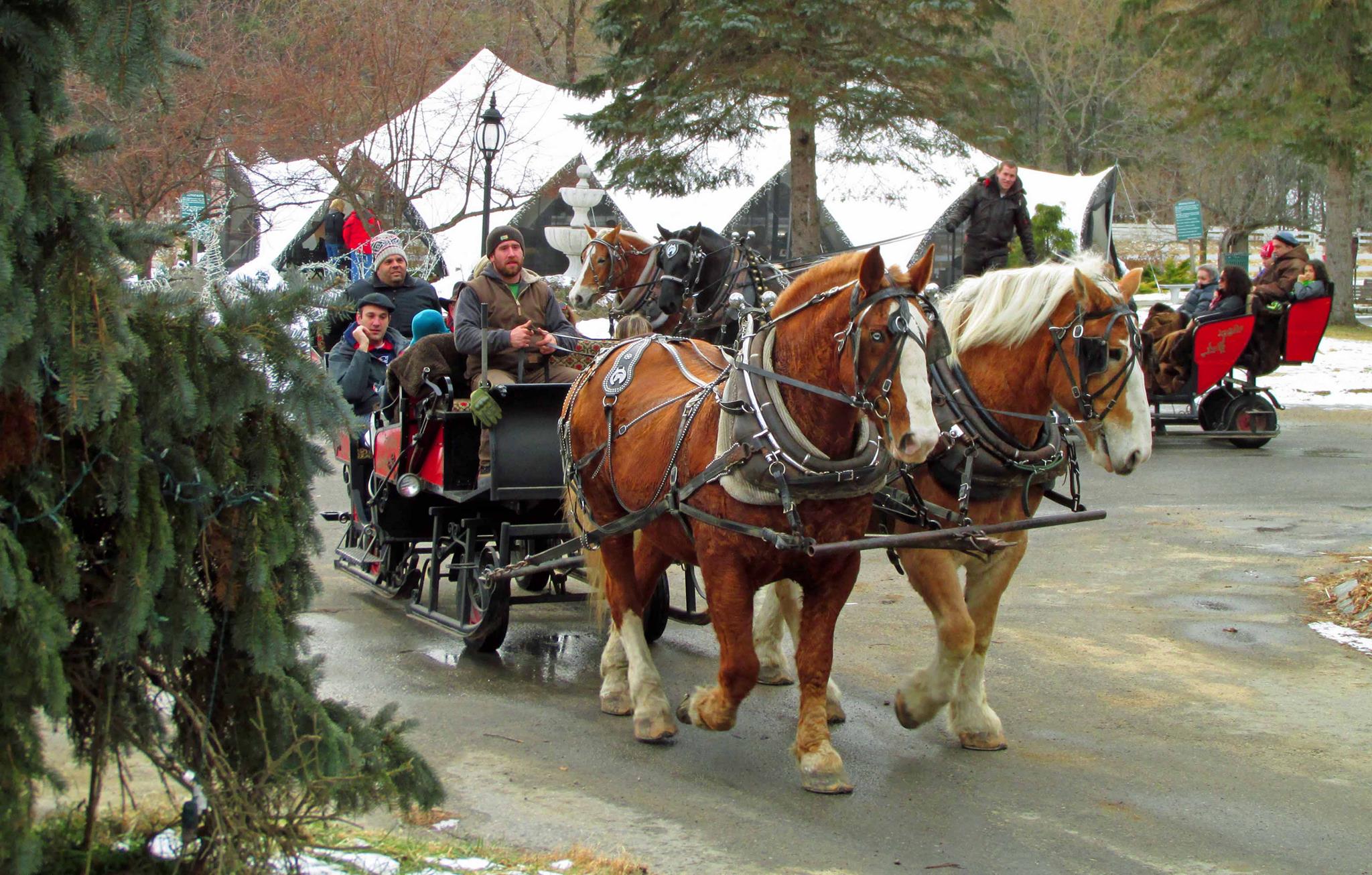 Christmas Week Hotel NH sleigh