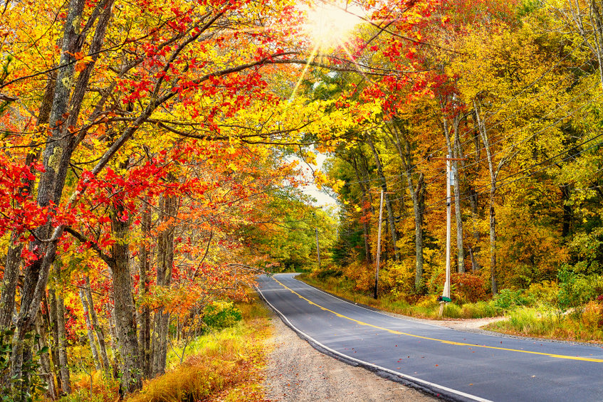 boston globe fall foliage trips