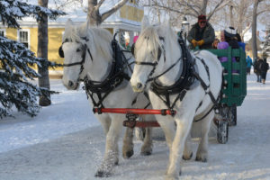 Sleigh Rides in NH
