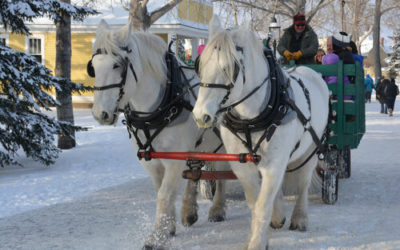 How to Make the Most of Your Quintessential New England Sleigh Ride in NH